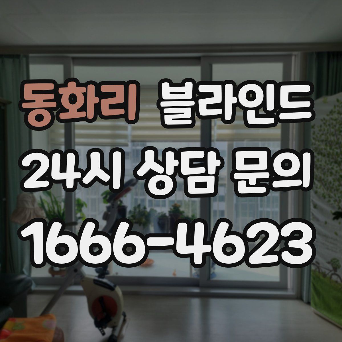 동화리 블라인드