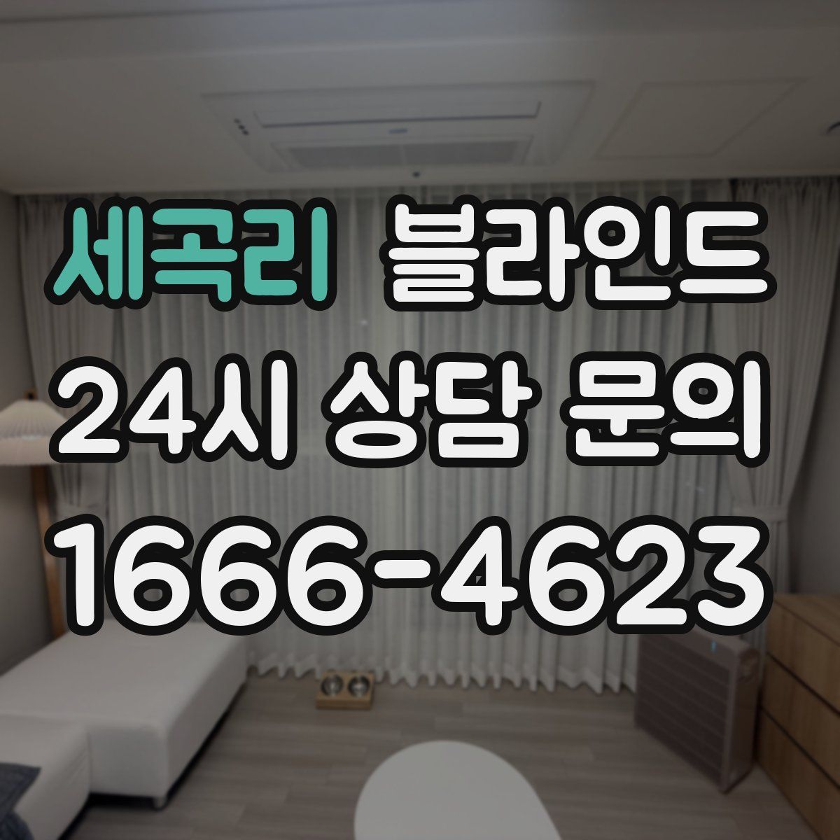 세곡리 블라인드