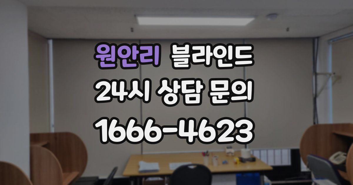원안리 블라인드
