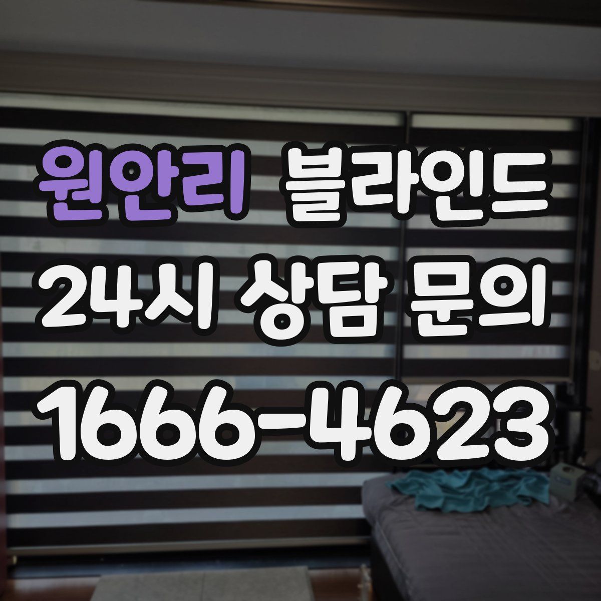 원안리 블라인드