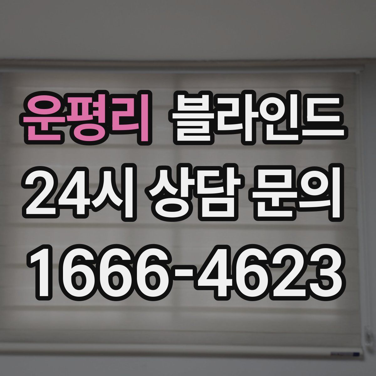 운평리 블라인드