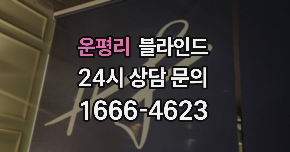 운평리 블라인드