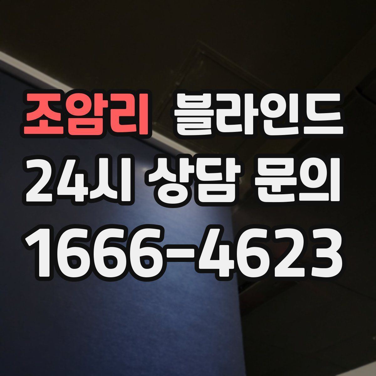 조암리 블라인드