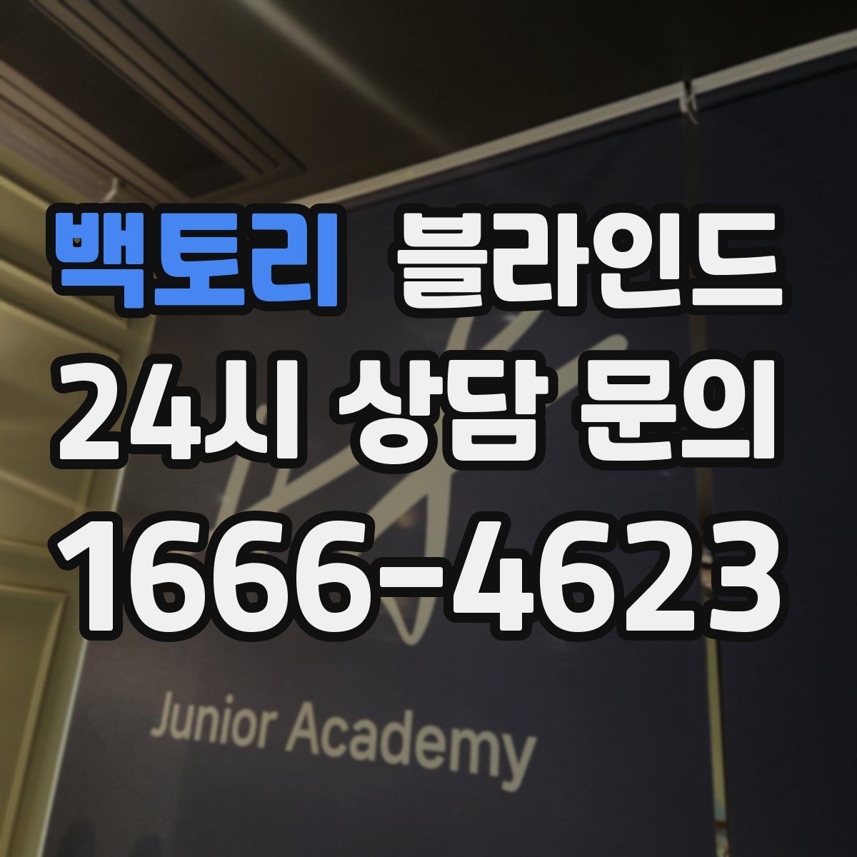 백토리 블라인드
