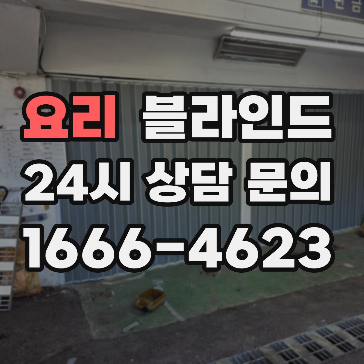 요리 블라인드