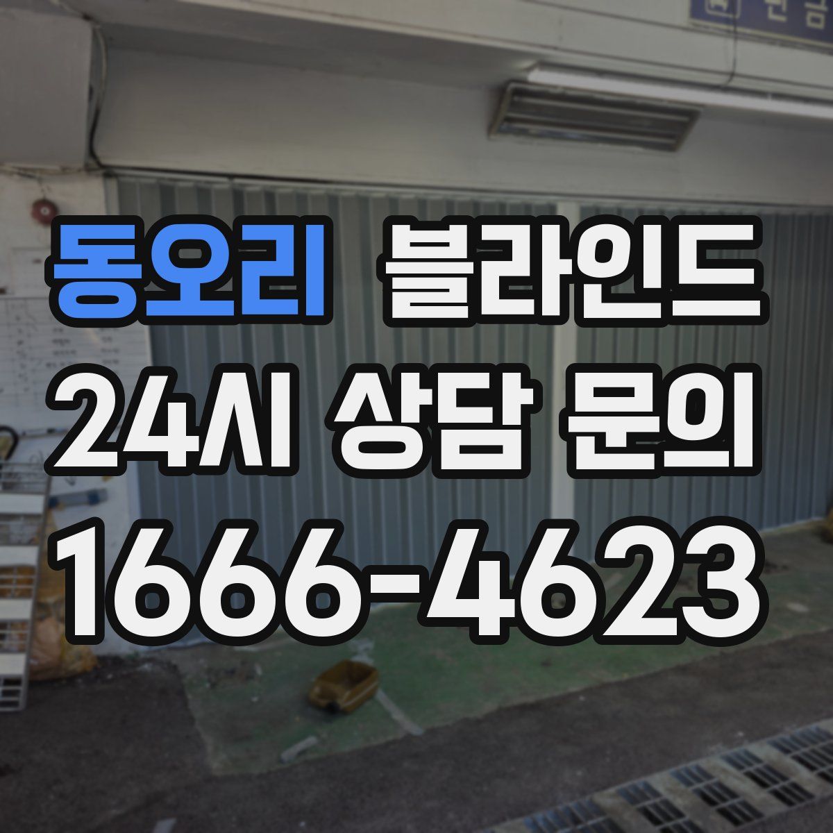 동오리 블라인드