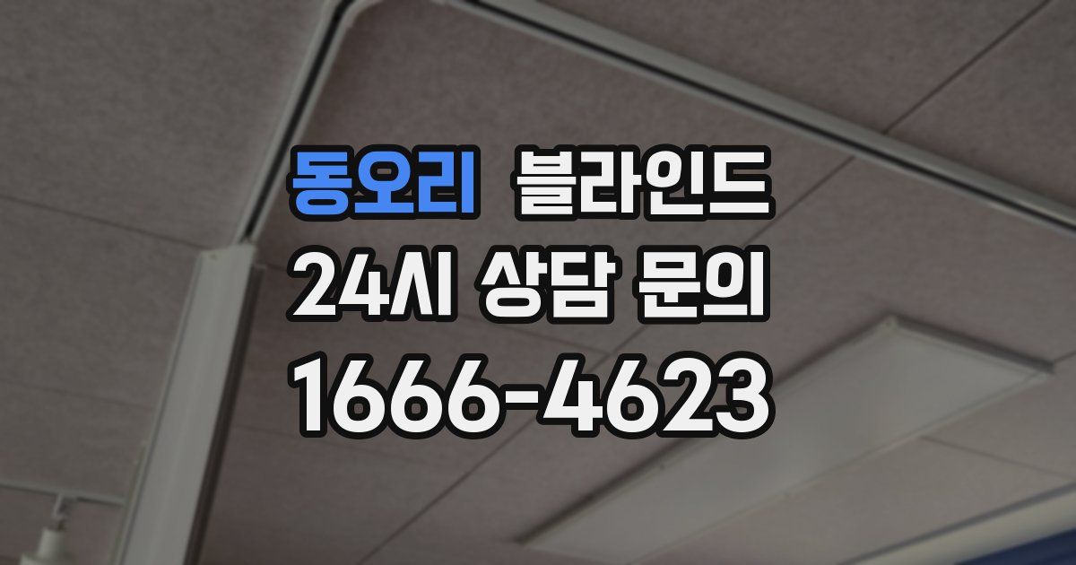 동오리 블라인드