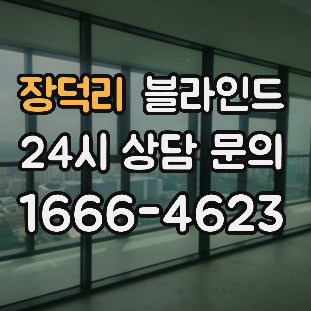 장덕리 블라인드