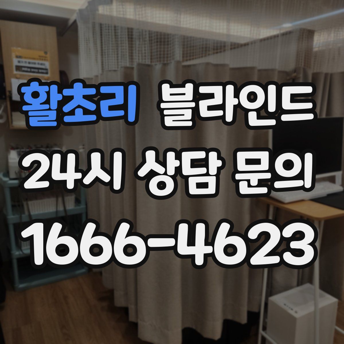 활초리 블라인드