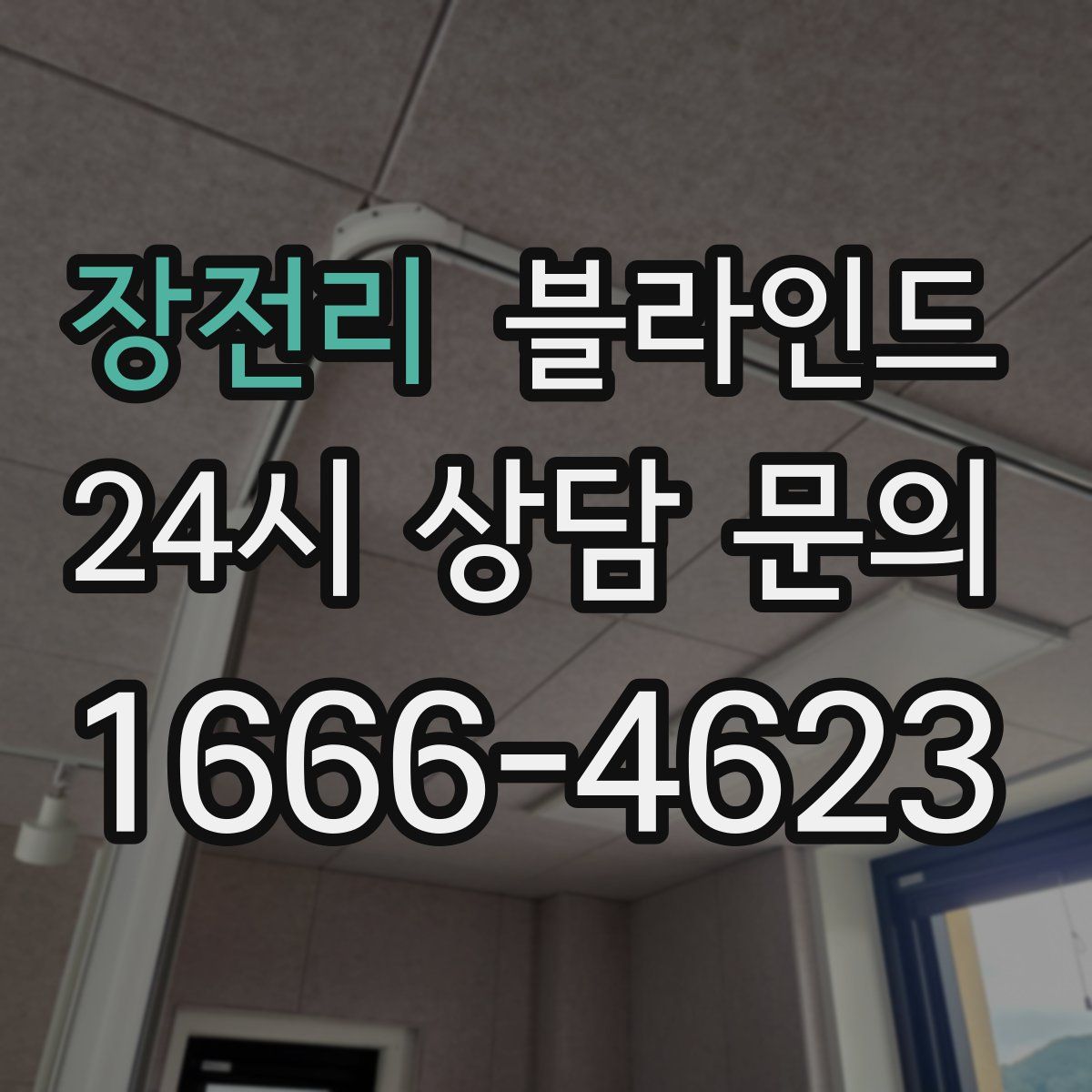 장전리 블라인드
