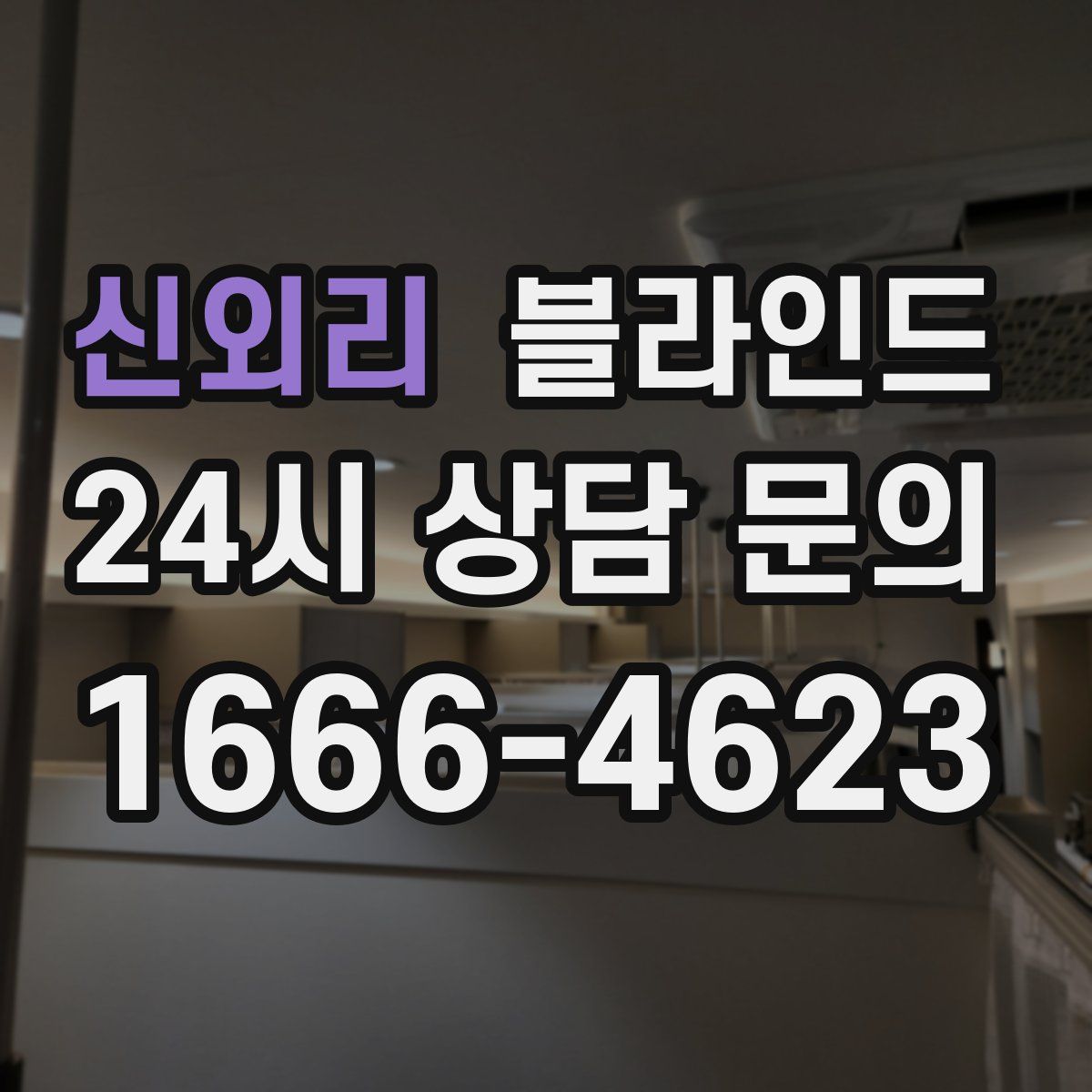 신외리 블라인드