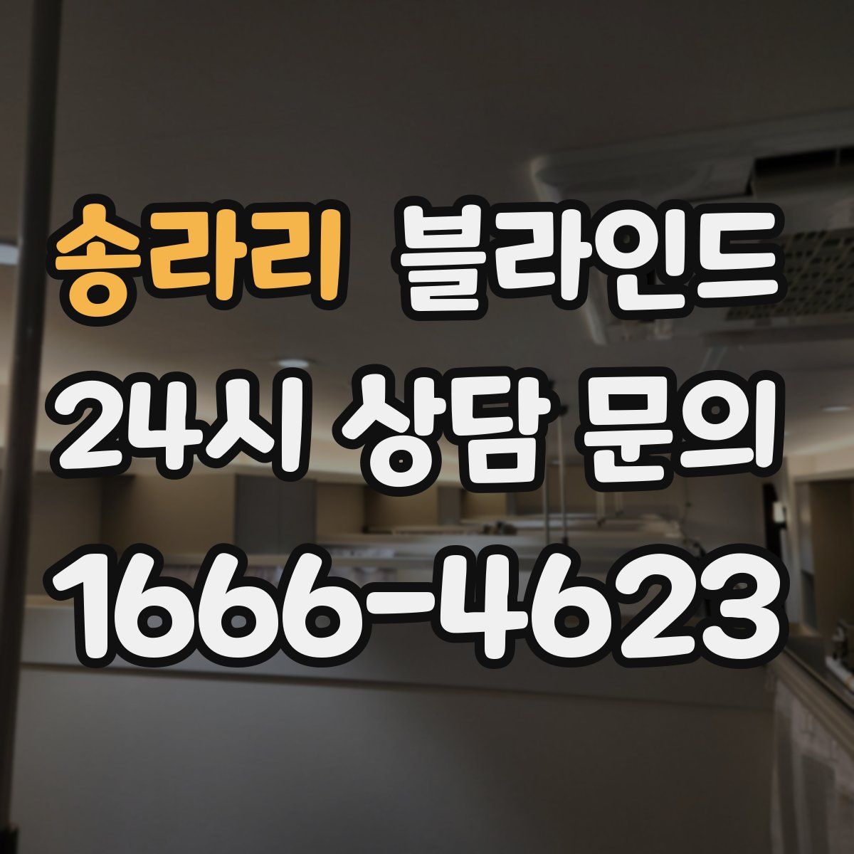 송라리 블라인드