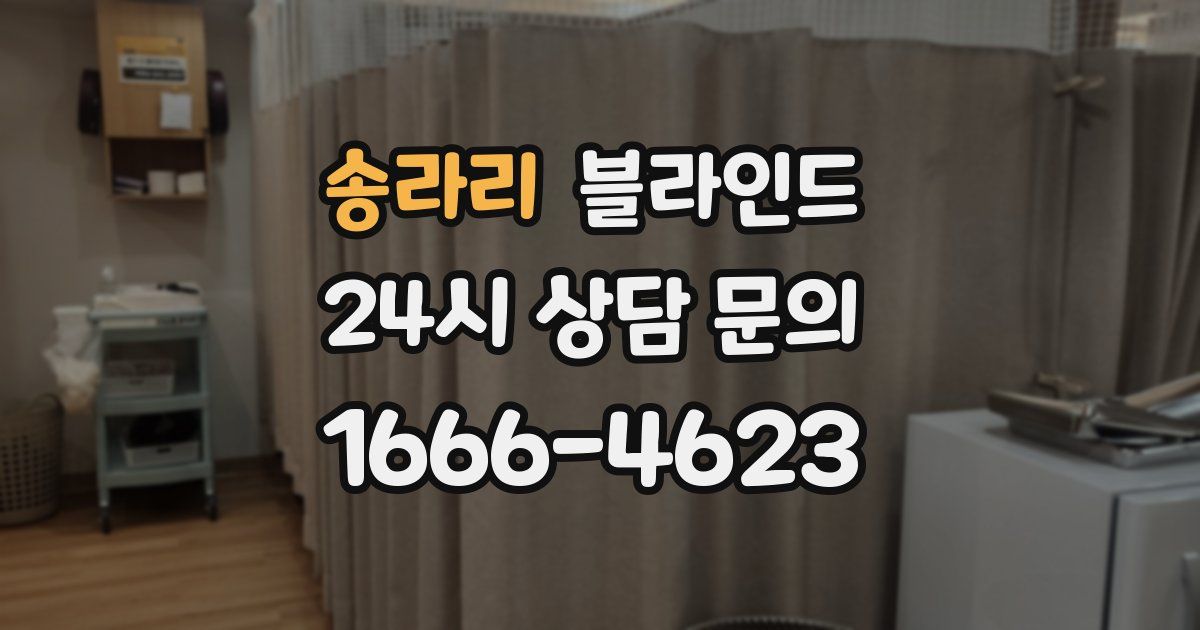 송라리 블라인드