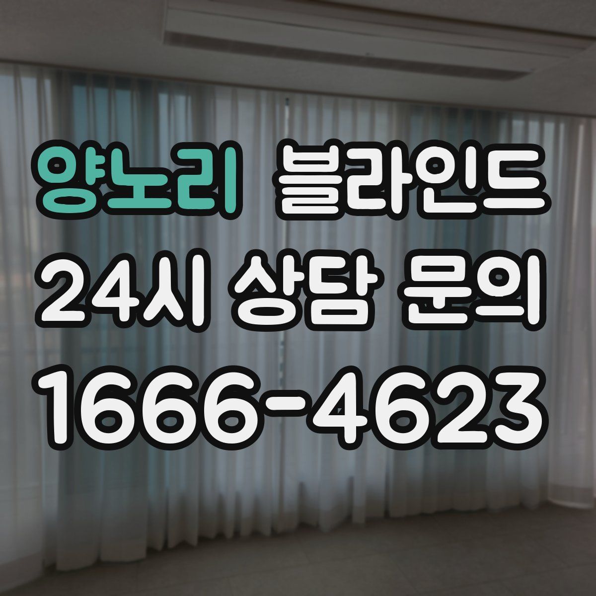 양노리 블라인드