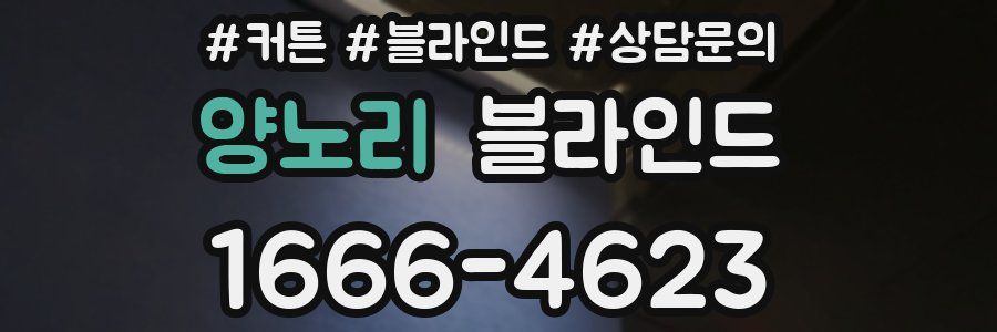 양노리 블라인드