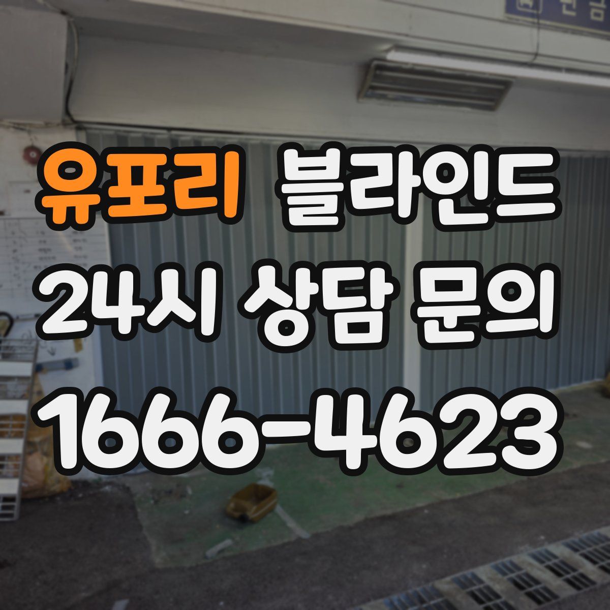 유포리 블라인드