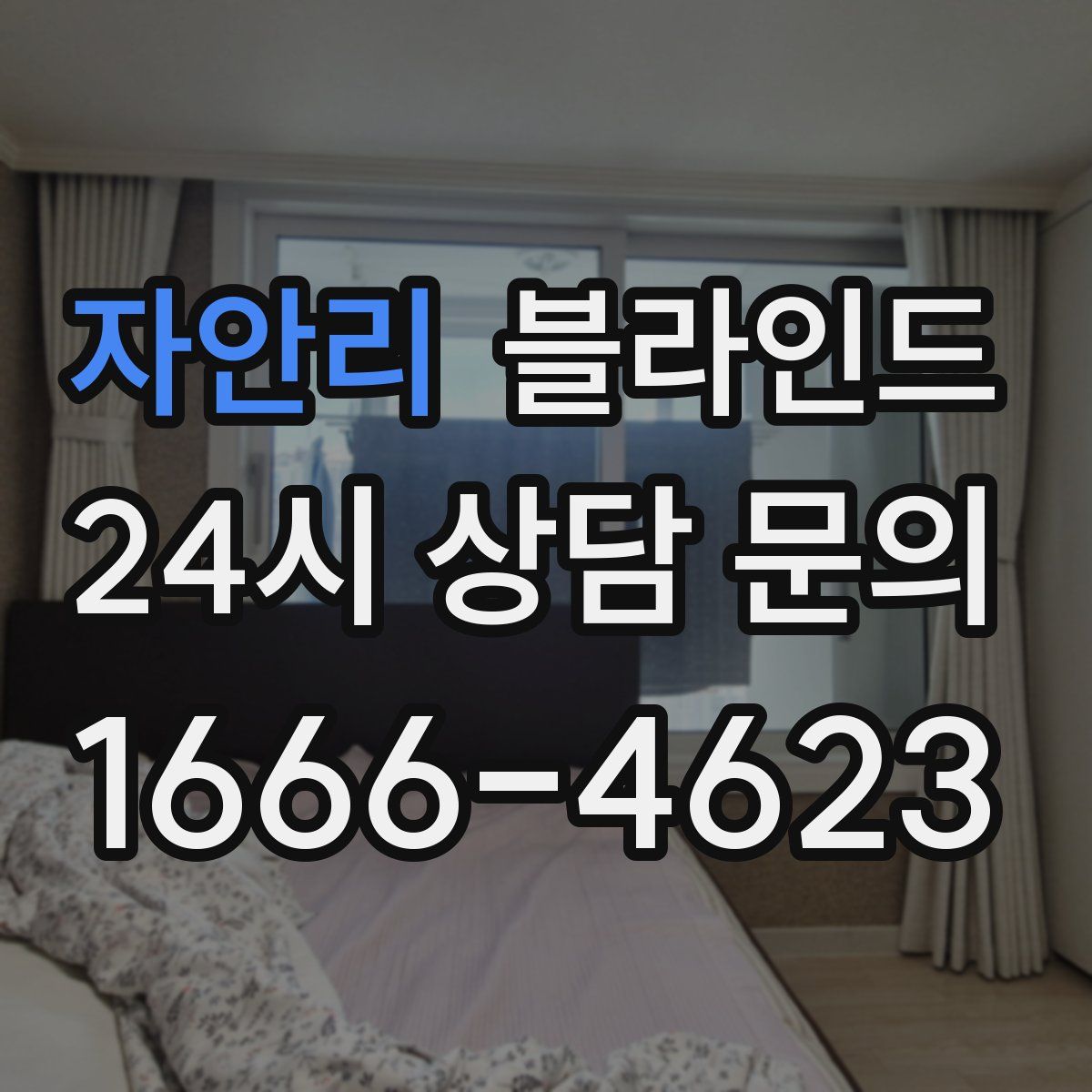 자안리 블라인드