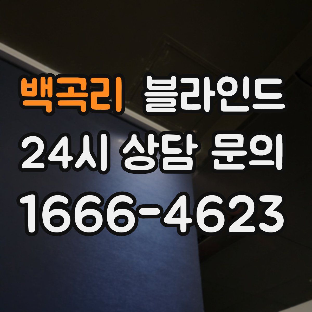 백곡리 블라인드