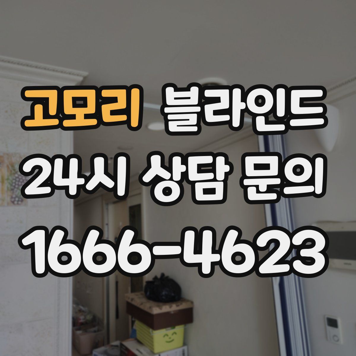 고모리 블라인드