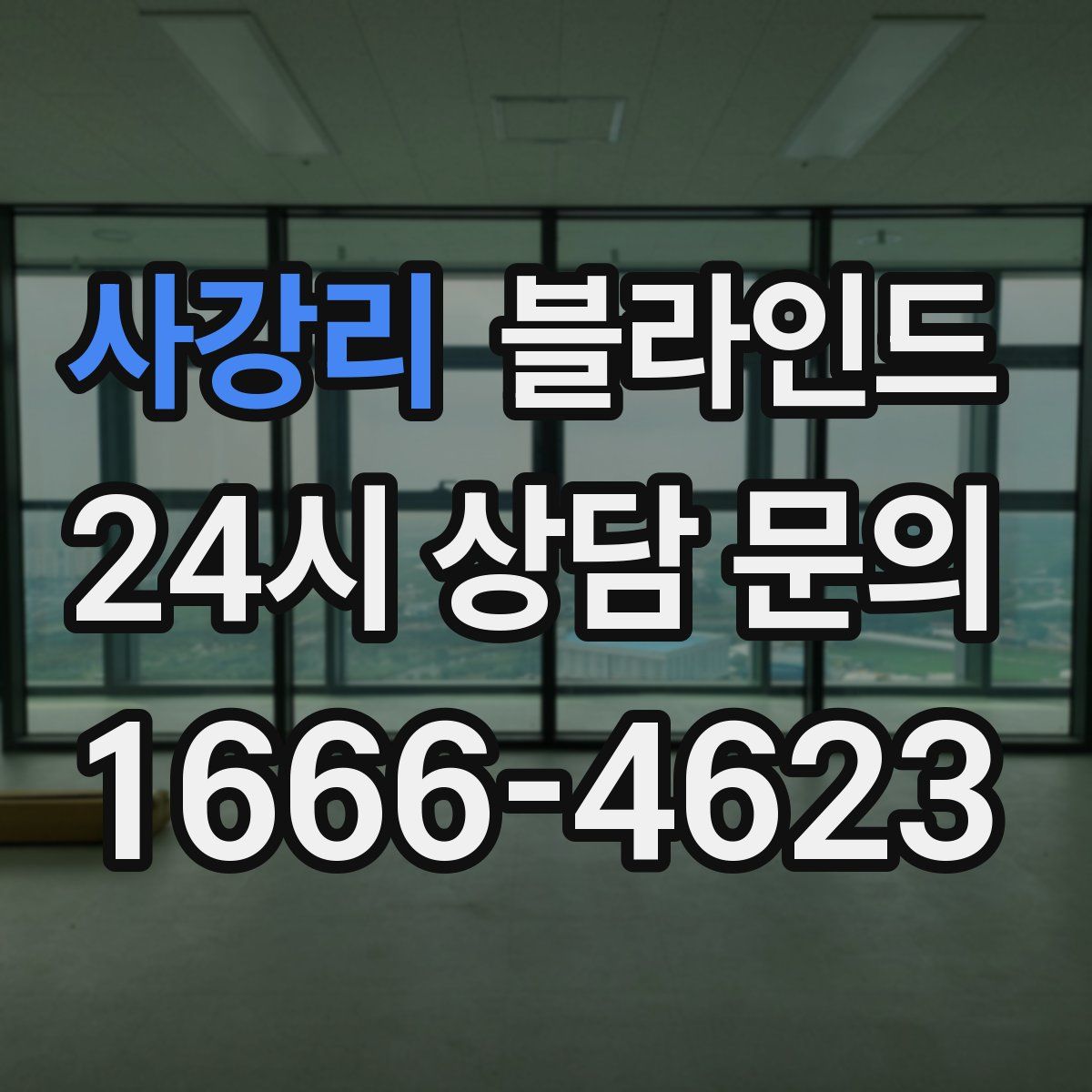 사강리 블라인드