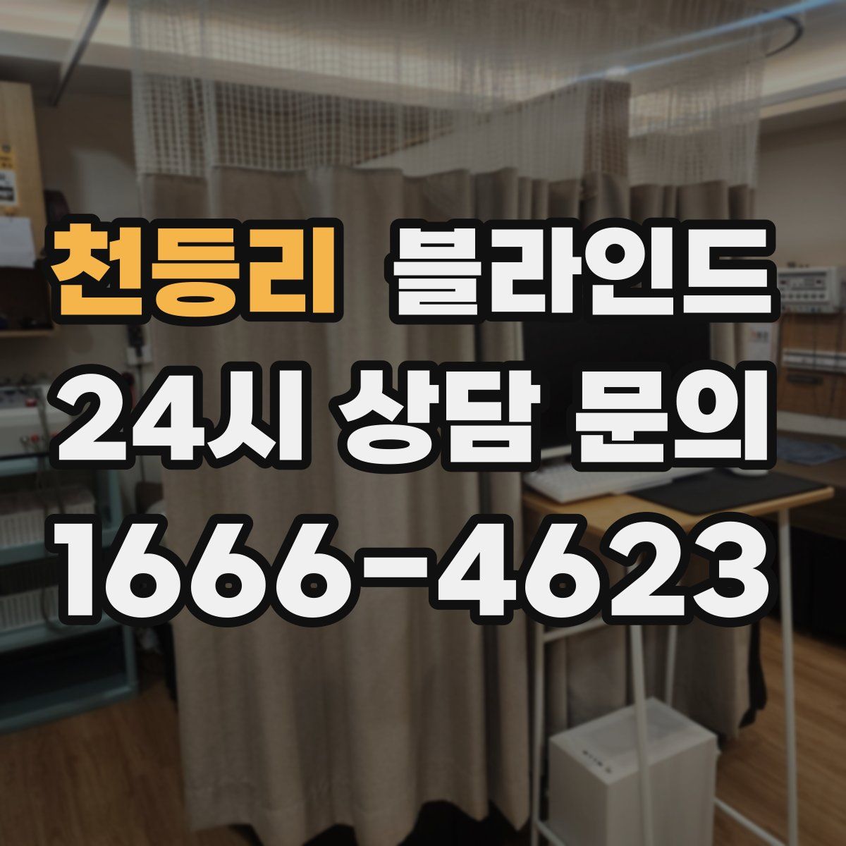천등리 블라인드