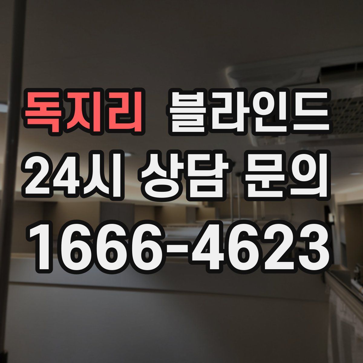 독지리 블라인드