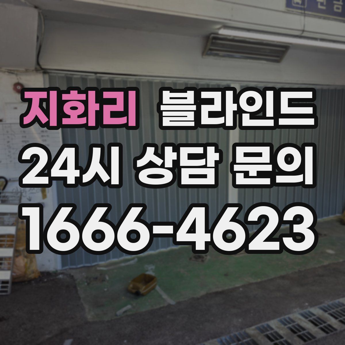 지화리 블라인드