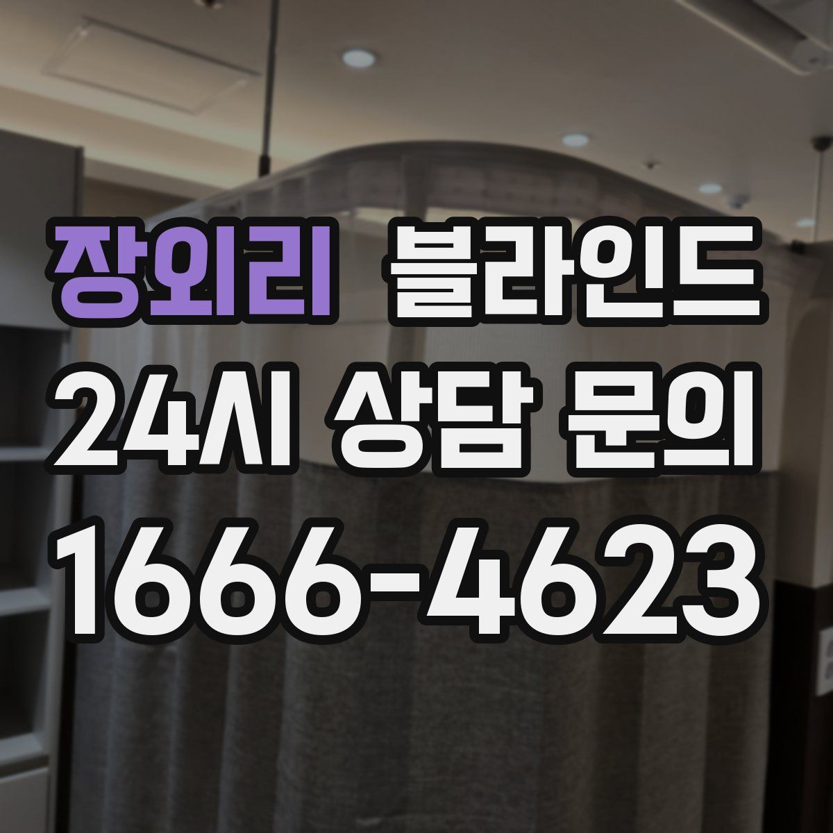 장외리 블라인드