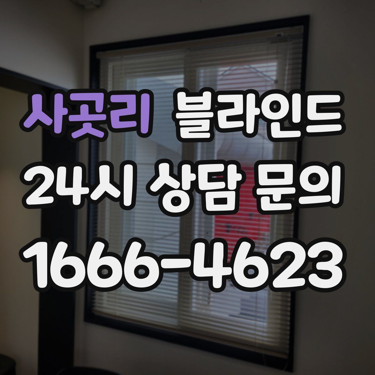 사곳리 블라인드