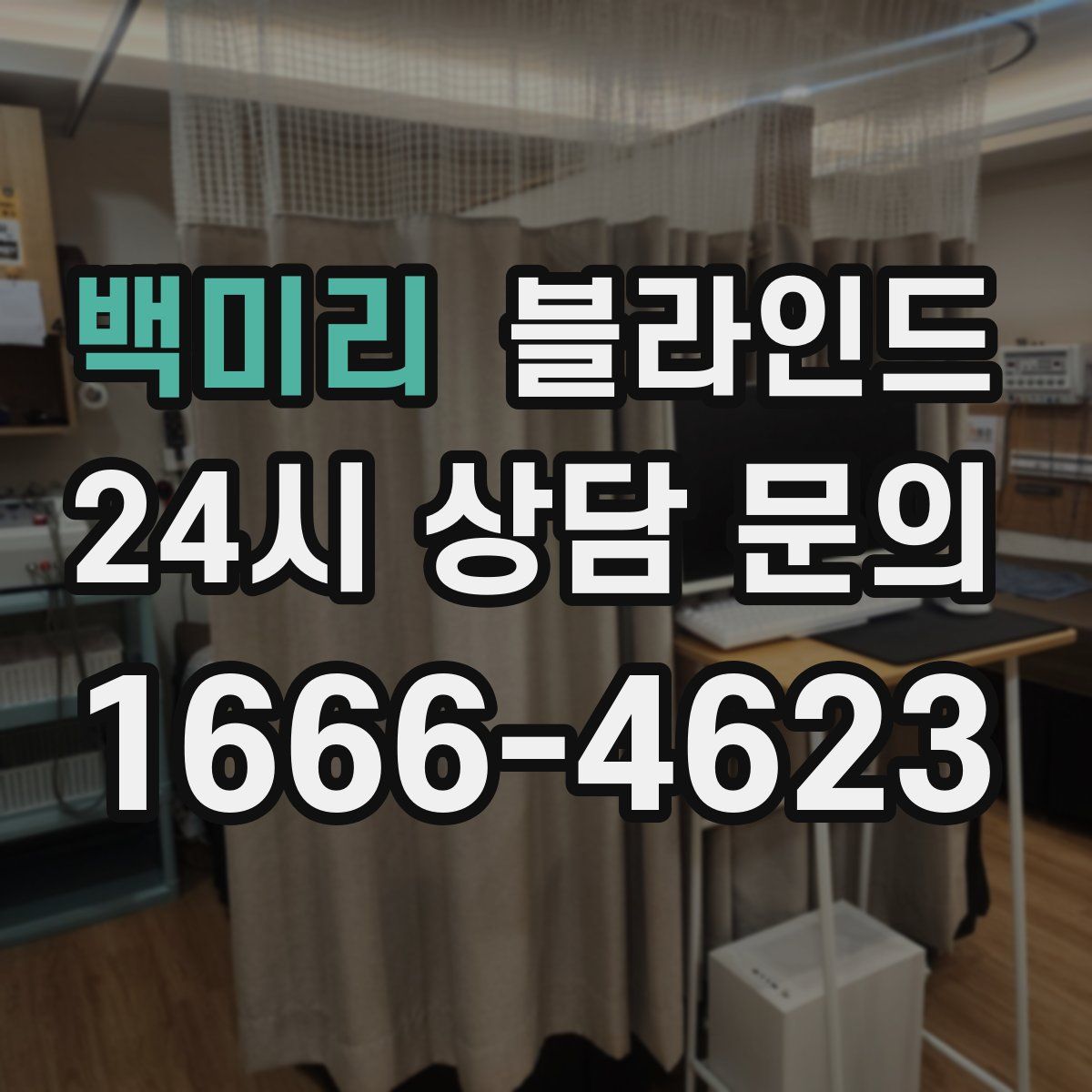 백미리 블라인드