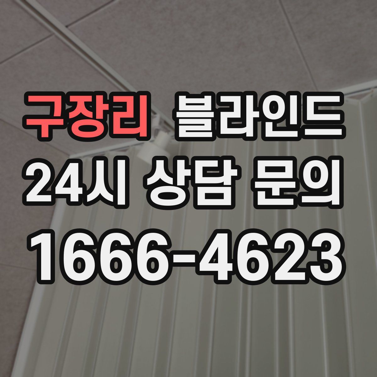 구장리 블라인드