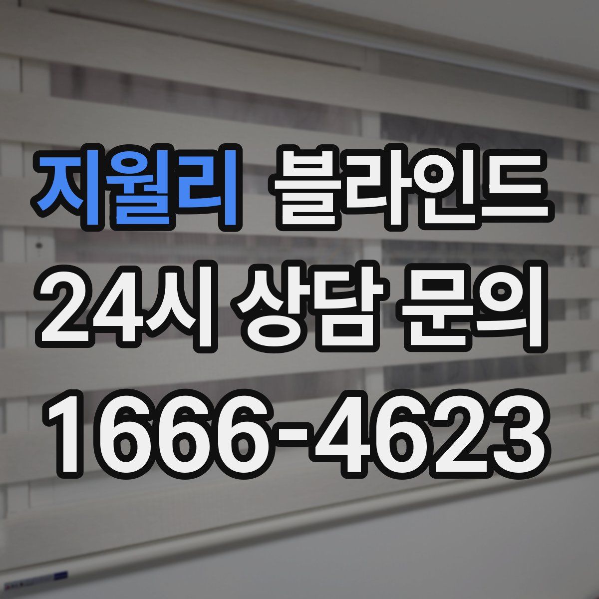 지월리 블라인드