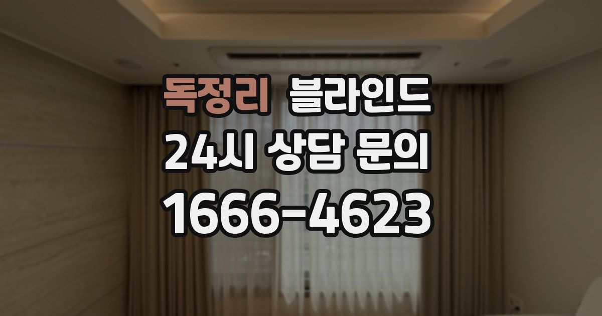 독정리 블라인드