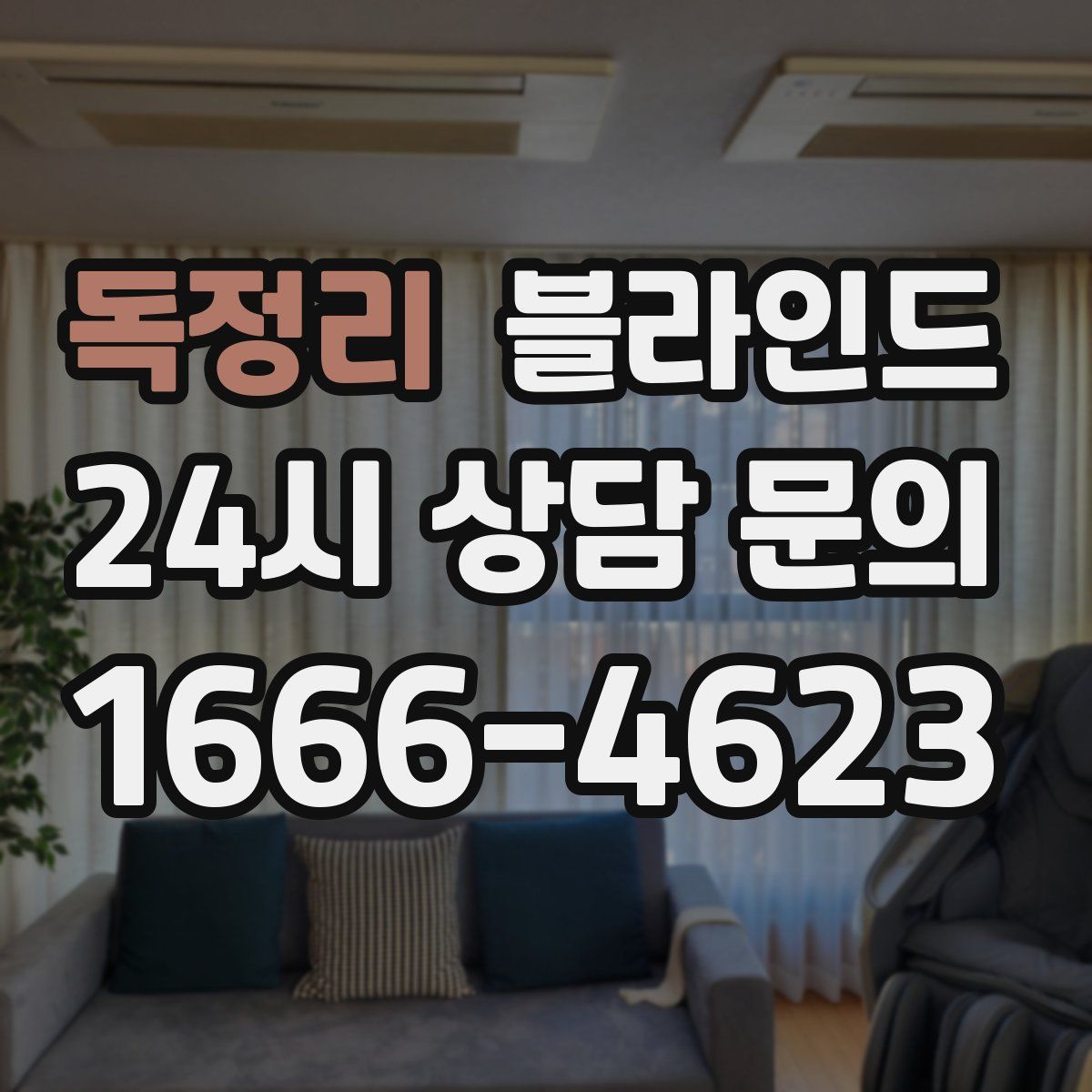 독정리 블라인드