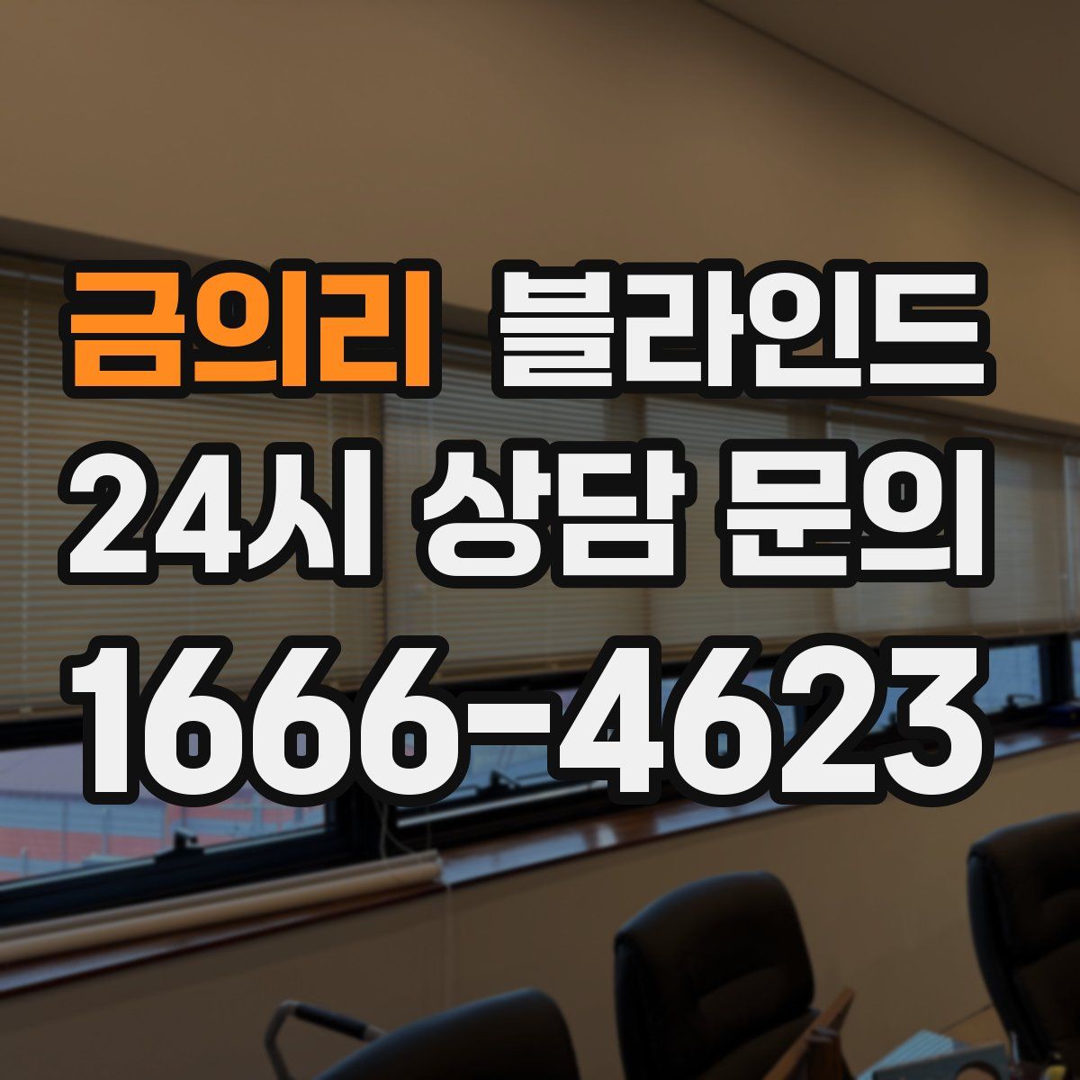 금의리 블라인드