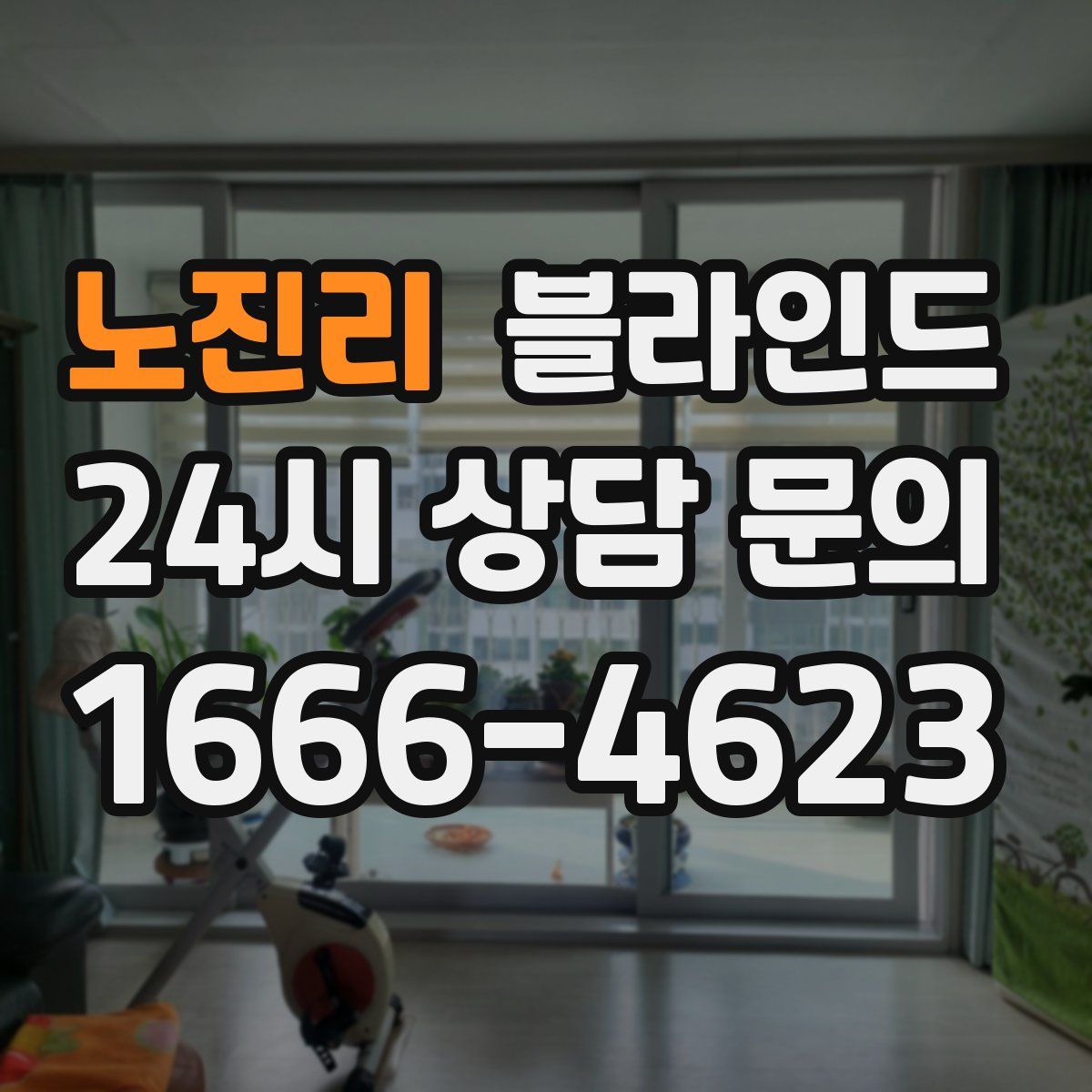 노진리 블라인드