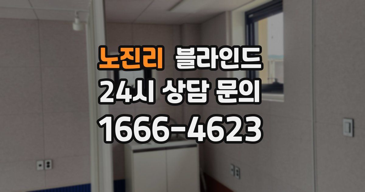 노진리 블라인드