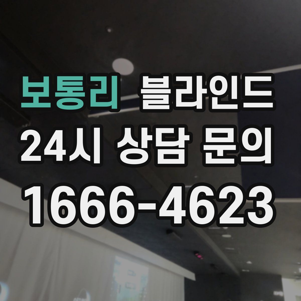 보통리 블라인드