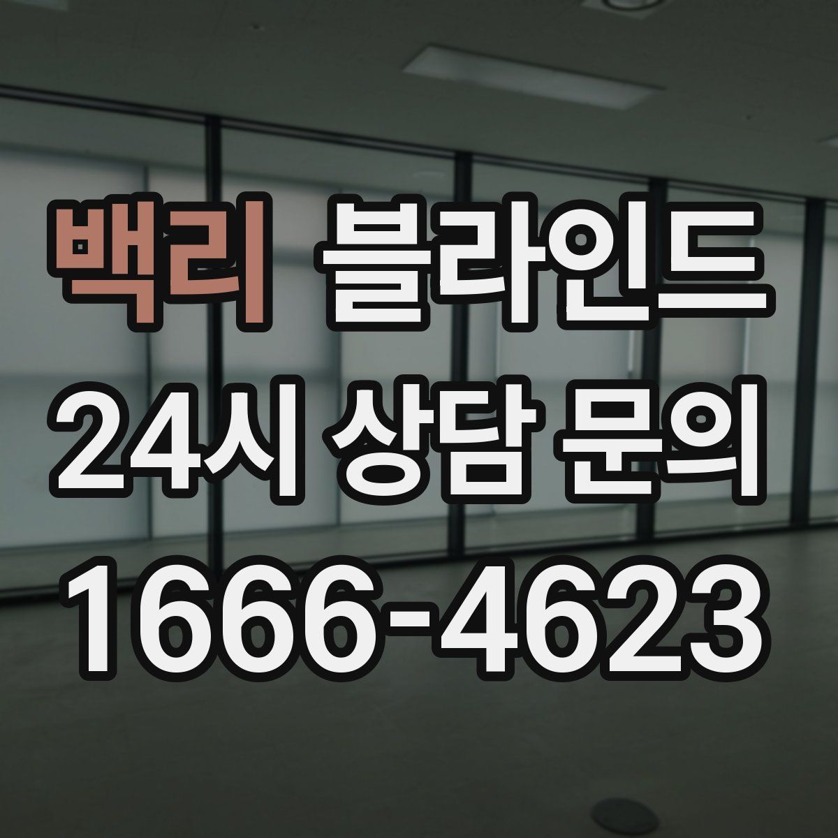 백리 블라인드