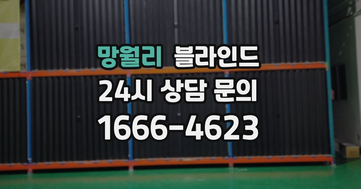 망월리 블라인드