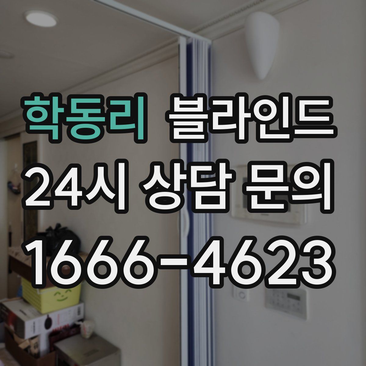 학동리 블라인드