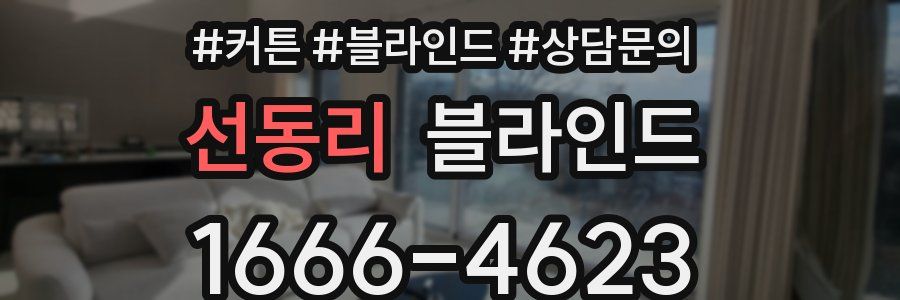 선동리 블라인드