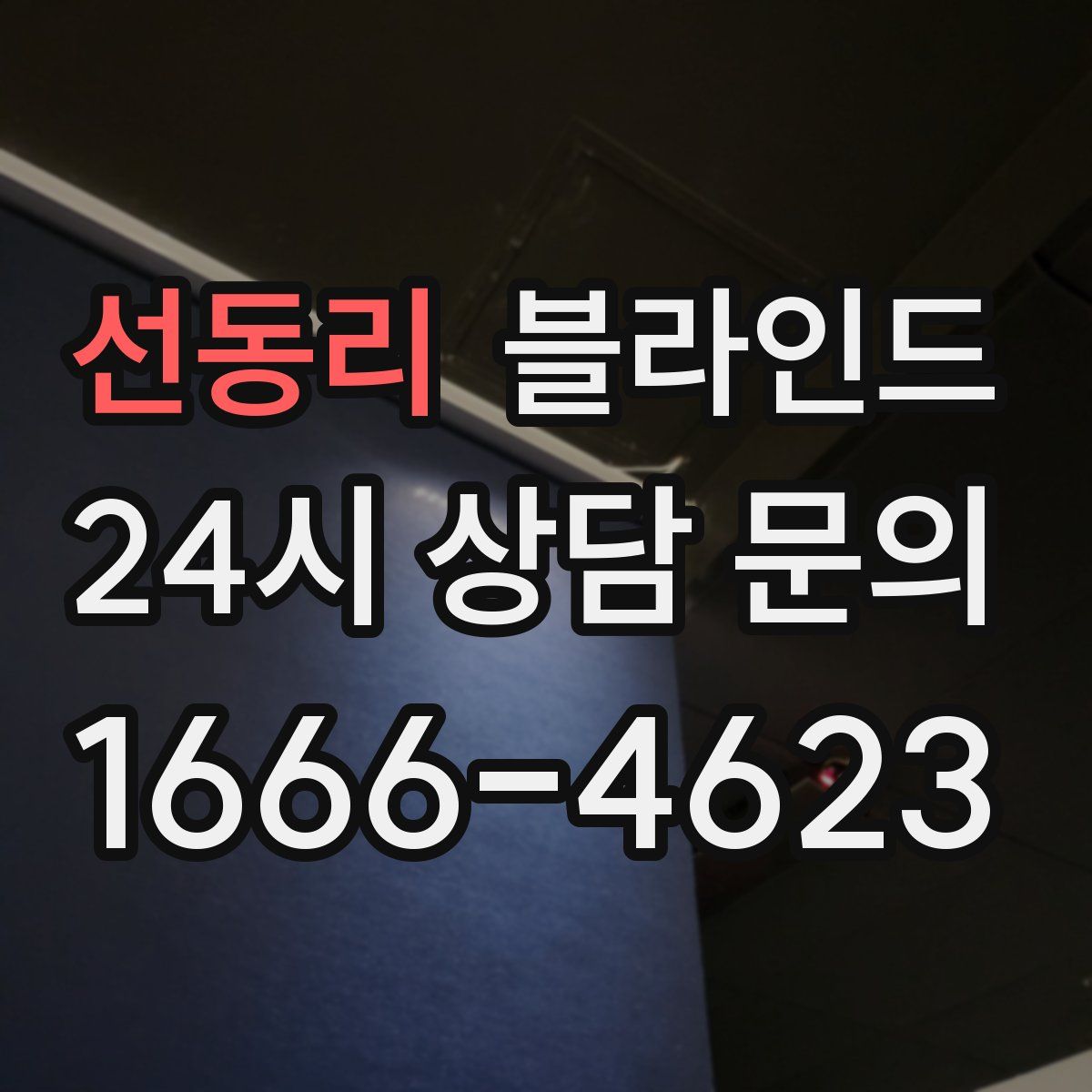 선동리 블라인드