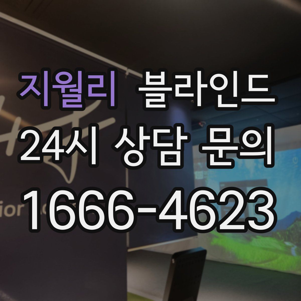 지월리 블라인드