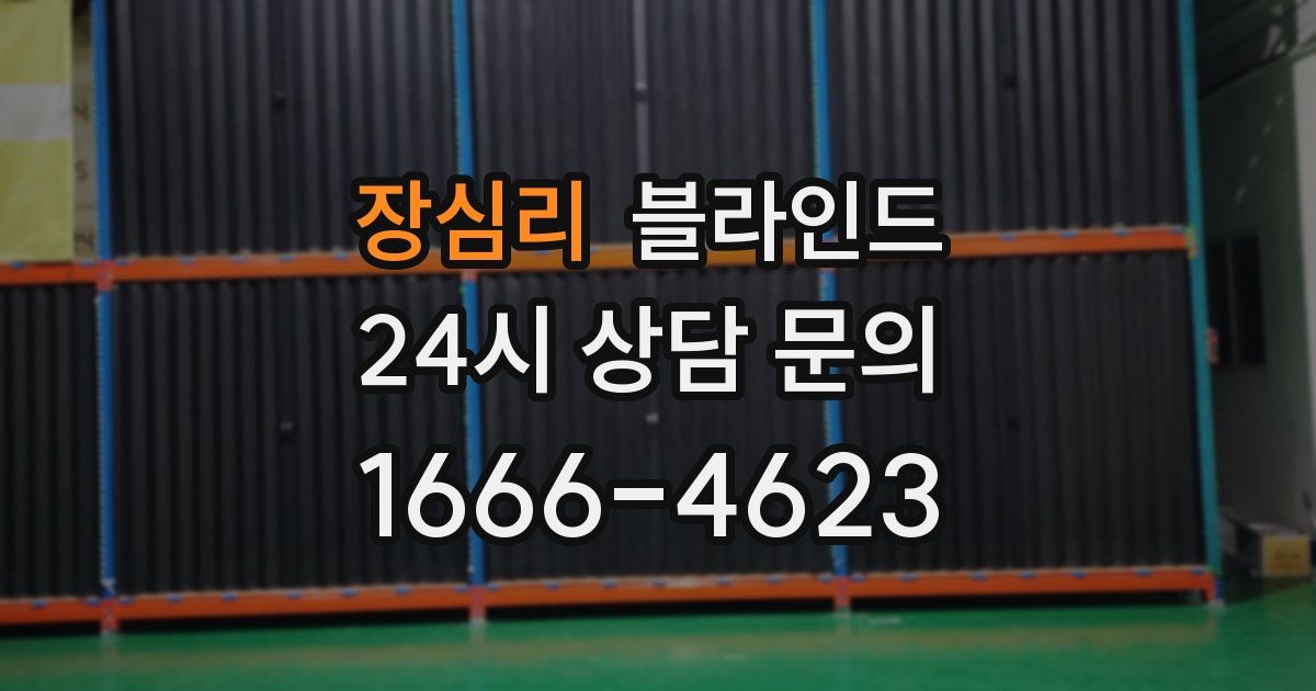 장심리 블라인드
