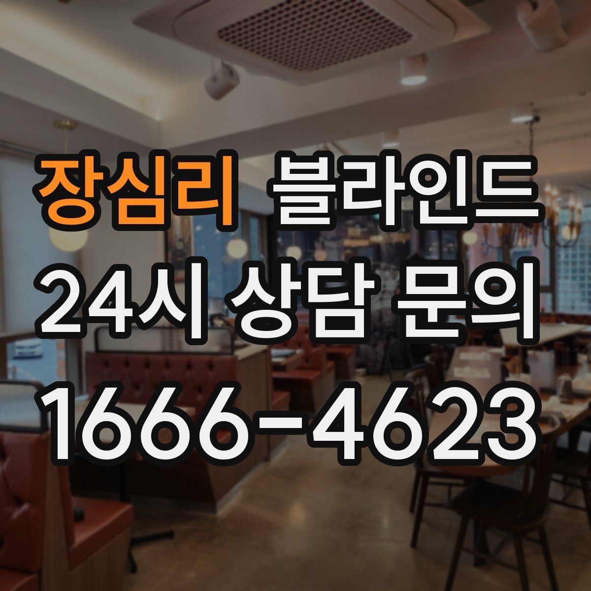 장심리 블라인드