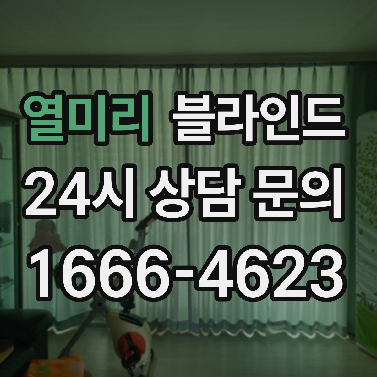 열미리 블라인드