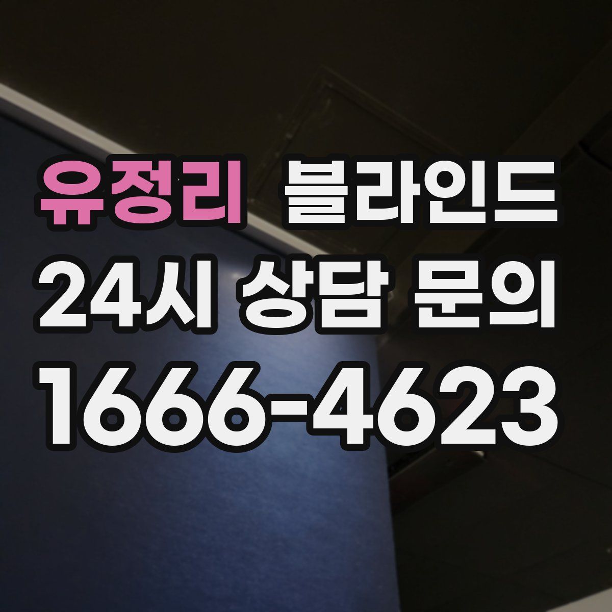 유정리 블라인드