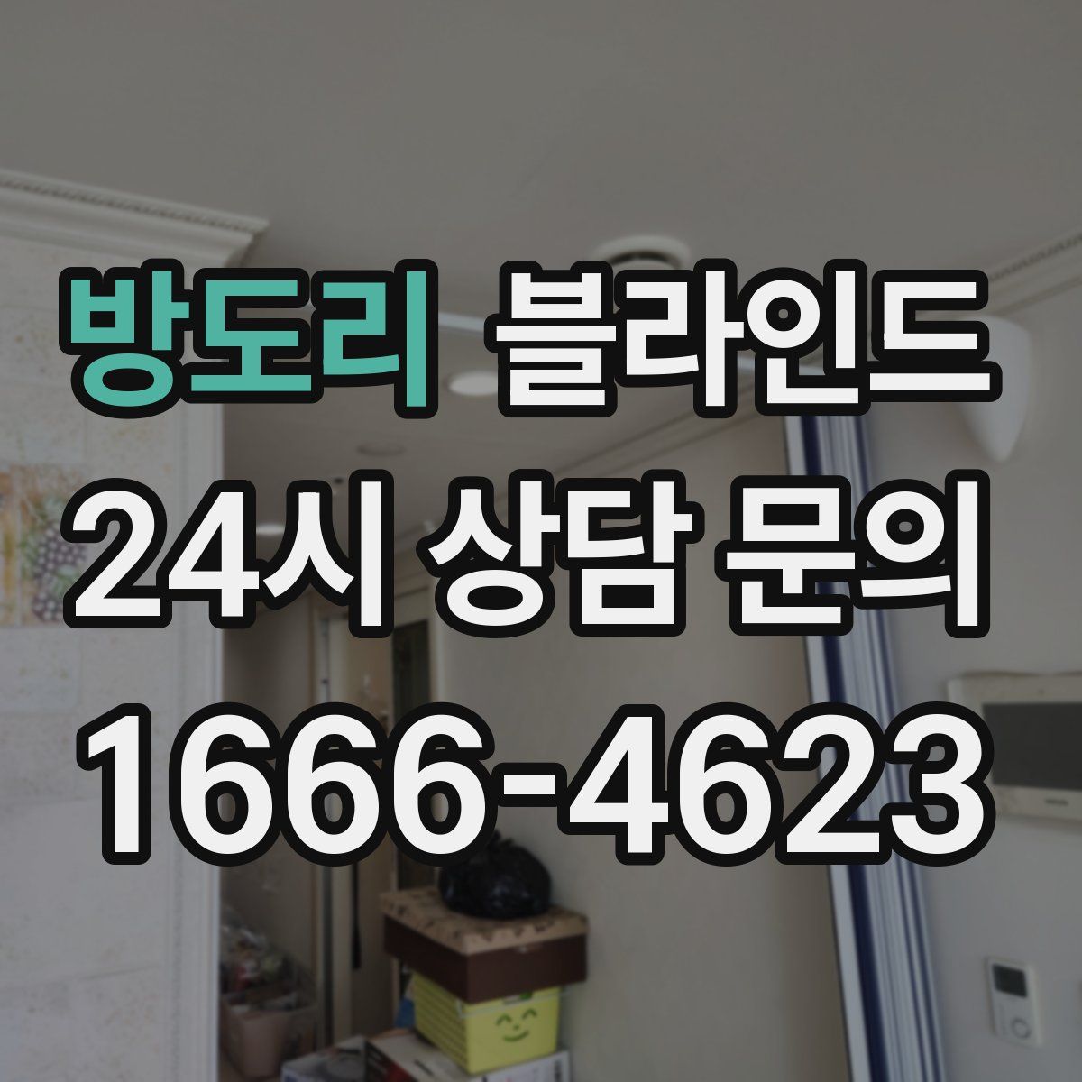 방도리 블라인드