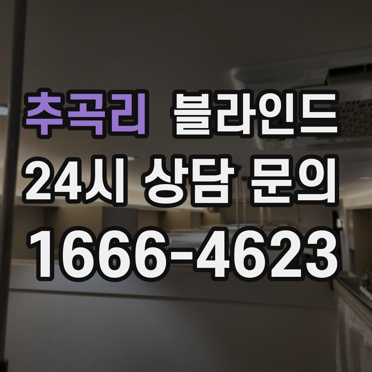 추곡리 블라인드